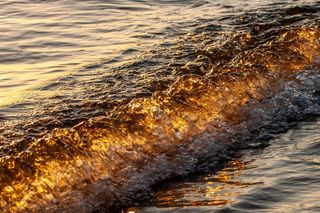 Tłumy na plaży nad Bałtykiem. Niewiarygodne, po co przyszli ludzie
