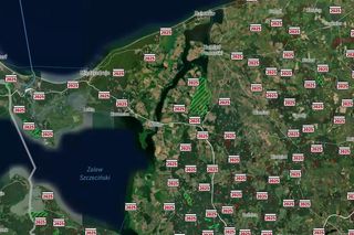 Mapa wycinki lasów 2025 - woj. zachodniopomorskie