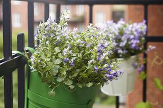 Kwiaty na balkon: modowe hity roślin na taras i balkon w 2014 roku!