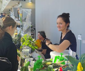 Węże, pająki i dreszczyk emocji w Bydgoszczy! Dragon Expo zachwyciło odwiedzających