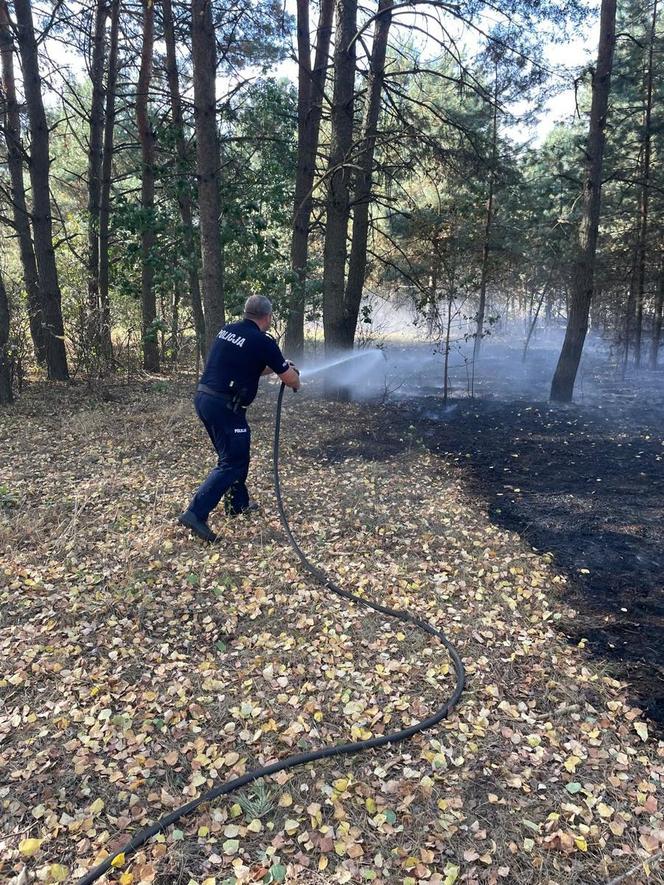 Pożar we wsi Budy. Policjant zauważył dym i ruszył na pomoc