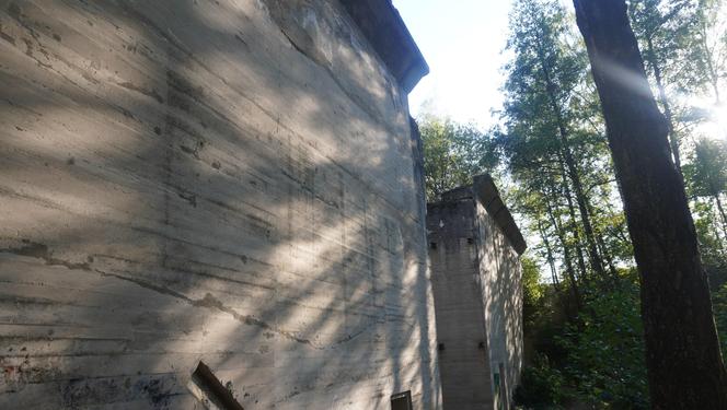 Monumentalna śluza Leśniewo z symbolami III Rzeszy ukryta w mazurskim lesie. Jest owiana tajemnicą [ZDJĘCIA]