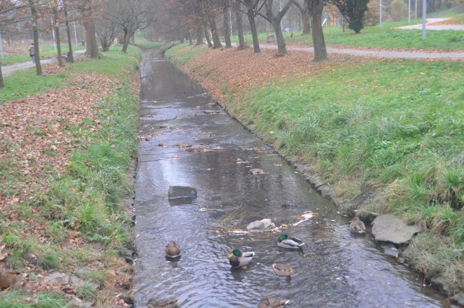 Dolina Silnicy i Zalew Kielecki jesienią