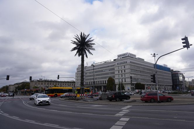 Zaczął się remont warszawskiej palmy. Atrakcja turystyczna została otoczona ogrodzeniem