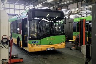 MPK Poznań nadal szuka kierowców. Czy będzie komu prowadzić autobusy?
