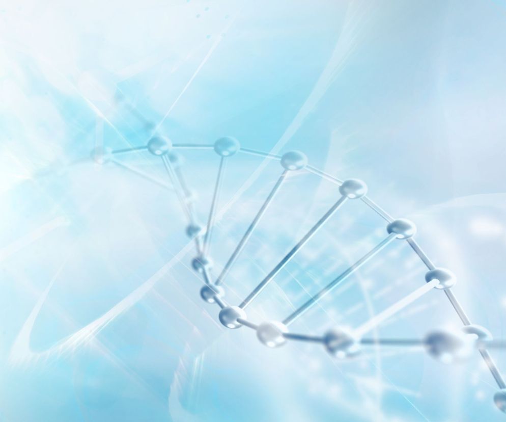 Zespół Zellwegera (ang. Zellweger syndrome, ZS) inaczej zespół mózgowo-wątrobowo-nerkowy