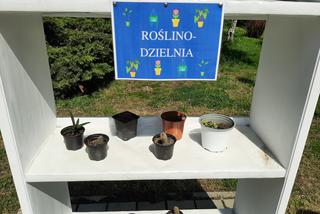 Roslinodzielnia w Swarzędzu