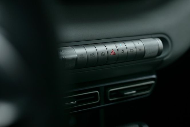 BYD DOLPHIN SURF
