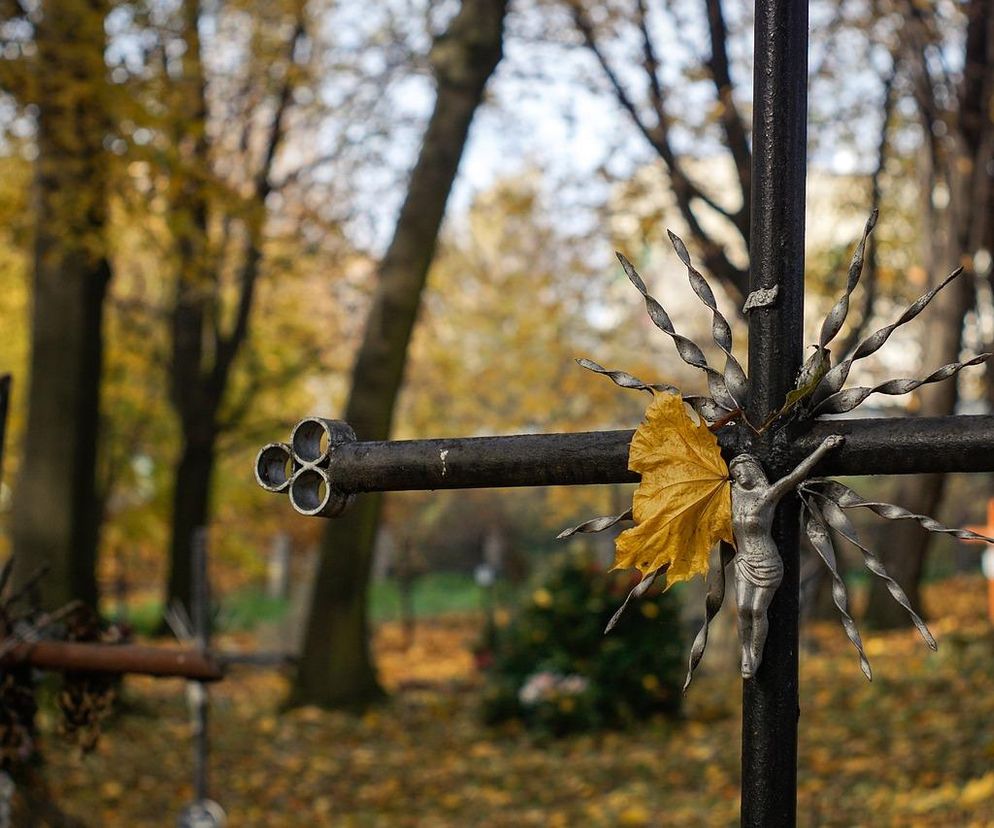  Pogoda na Wszystkich Świętych 2023 na Podkarpaciu. Temperatury mogą zaskoczyć 