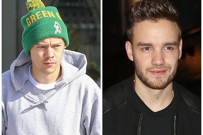 Harry Styles, Liam Payne