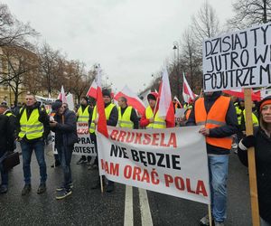 Protest plantatorów tytoniu w Warszawie (3.11.2025)