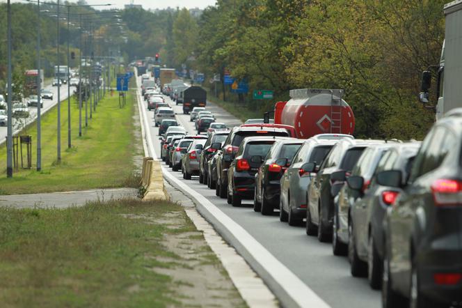 Buspas do Łomianek