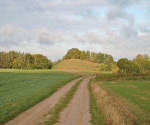 Kałdus