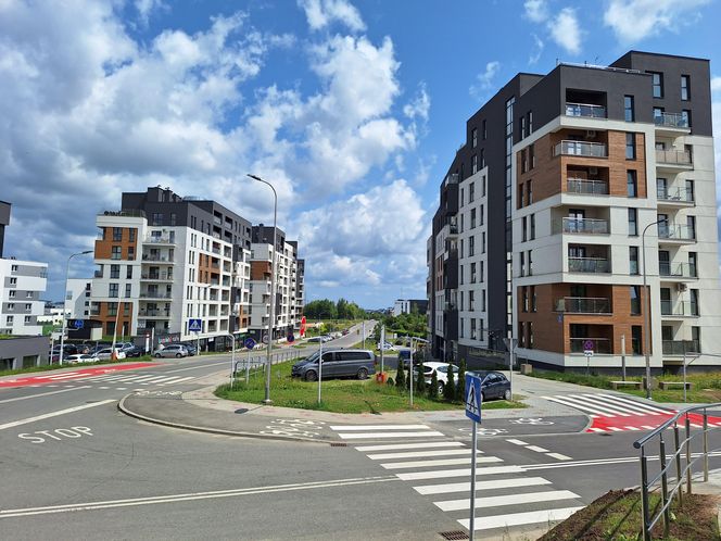 Te miejsca w Rzeszowie najbardziej zmienią się na przestrzeni najbliższych lat. Tak twierdzi AI