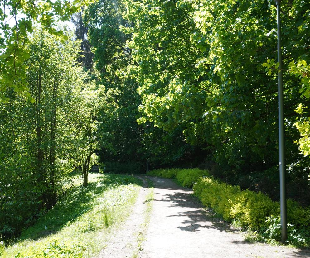 Tajemniczy park na Jakubowie, o którym nie każdy słyszał. Skrywa mroczny sekret [ZDJĘCIA]