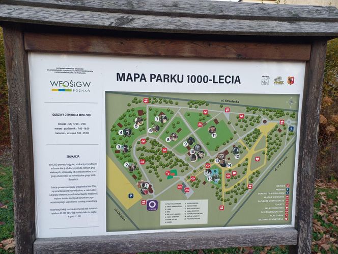 ​Statek dla dzieci w Parku Tysiąclecia w Lesznie odzyska dawny blask. Wymienią stare elementy placu zabaw, dołożą nowe