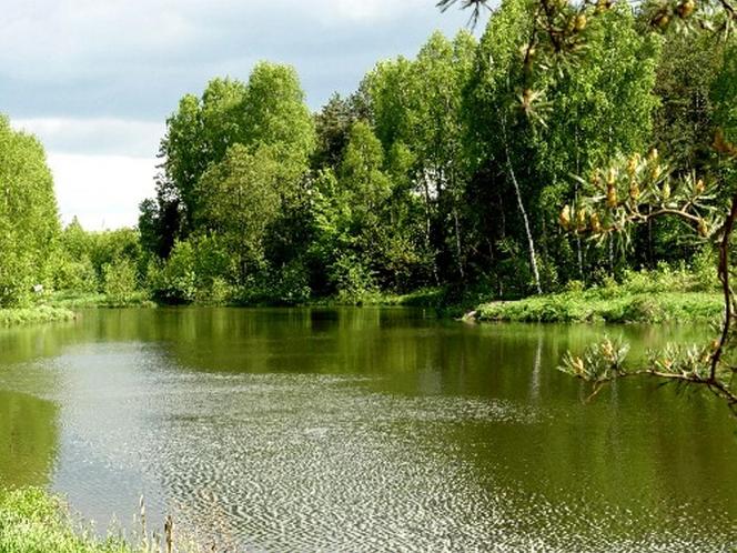 Park Krajobrazowy Wzniesień Łódzkich