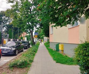 Prezydent Nawrocki zajrzał na stare śmieci