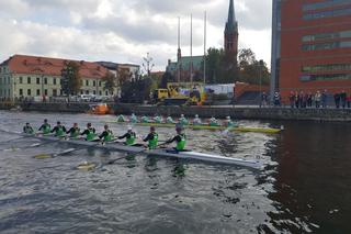 Wielka Wioślarska 2019 w Bydgoszczy 