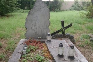 Opuszczony cmentarz w Opolu niszczeje coraz bardziej