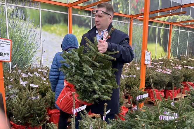 Przemysław Czarnek kupuje choinkę dla wnuka