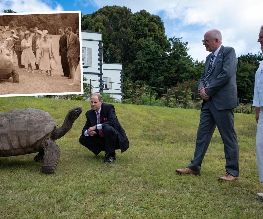 Żółw gigant ma 192 lata i przyjął wizytę księcia! 76 lat temu odwiedziła go królowa