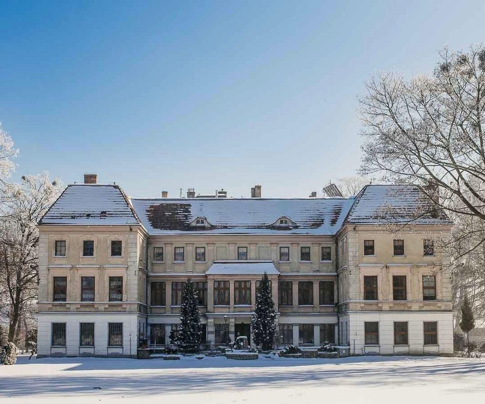 Przepiękny śląski pałac wystawiono na sprzedaż!