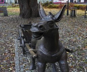 To zwierzę stało się bohaterem wojennym. Poznajcie osiołka z Wronek [ZDJĘCIA]