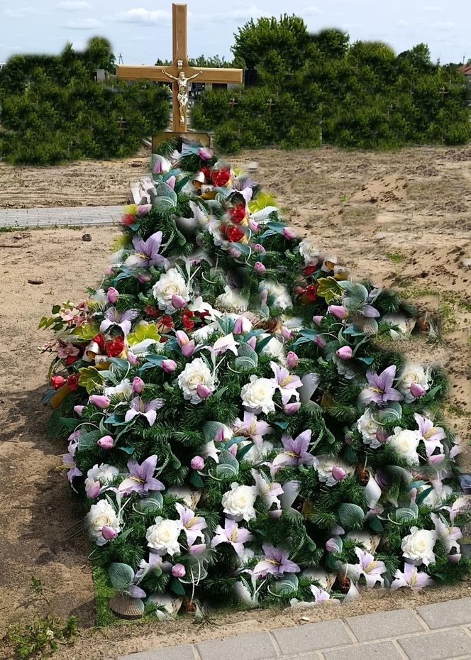 Ratował boćka na słupie, spadł z drabiny