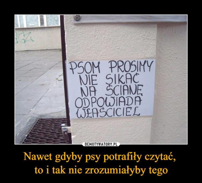 Najlepsze ogłoszenia z miejsc pracy! Nie uwierzysz że ktoś je wywiesił! 
