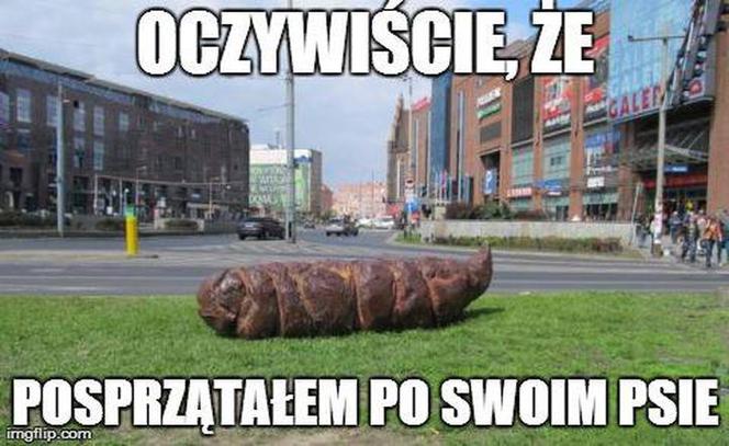 Zdania, których wrocławianie nigdy nie mówią [GALERIA MEMÓW]