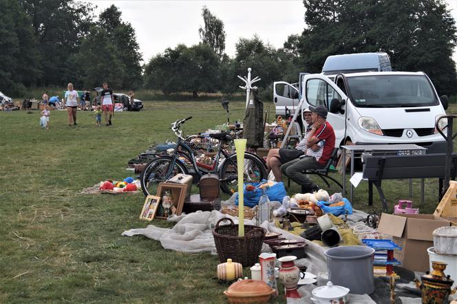 Pchli targ pod Bydgoszczą [ZDJĘCIA]