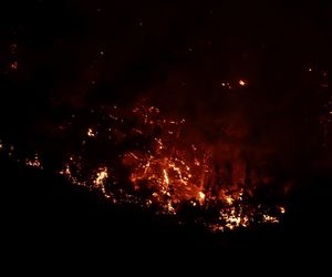 Wielkie pożary na Krecie! Polscy turyści ewakuowani. Portugalia też zagrożona!