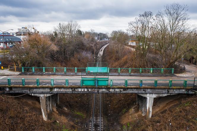 Dzień Kota 2021. Prezydent Płocka: Kot ze starego wiaduktu trafi do Zoo Płock [ZDJĘCIA]