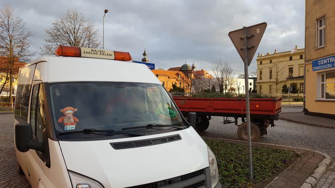 Za nieco ponad miesiąc wiosna! Na skwerach w Lesznie zaczęły się już pozimowe porządki