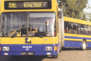 Kontrolerzy biletów POBILI 14-latka w autobusie! Wszystko widać na nagraniu