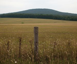 Gmina Lutowiska. Dlaczego to najgorsze miejsce w Polsce?