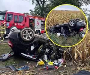 Straszny widok na polu przy drodze pod Kutnem! Ciało mężczyzny w zmasakrowanym BMW [ZDJĘCIA]