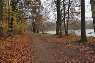 Ścieżki wokół Rusałki czeka renowacja