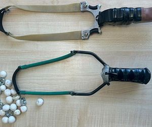 Horror na balkonie w Wałbrzychu. 47-latek urządził sobie polowanie na gołębie 