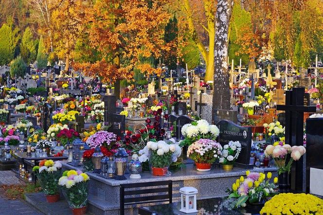 Cmentarz, kwiaty, znicze