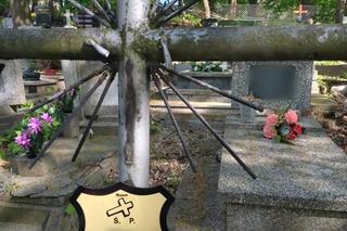 Wałbrzych. 30-latek okradał groby! Wpadł przez... łupinki słonecznika [ZDJĘCIA]