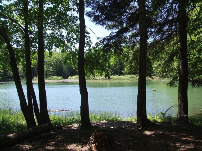 Jeziorka Duszatyńskie 