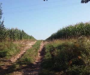 Jeziorko koło Nowej Słupi 