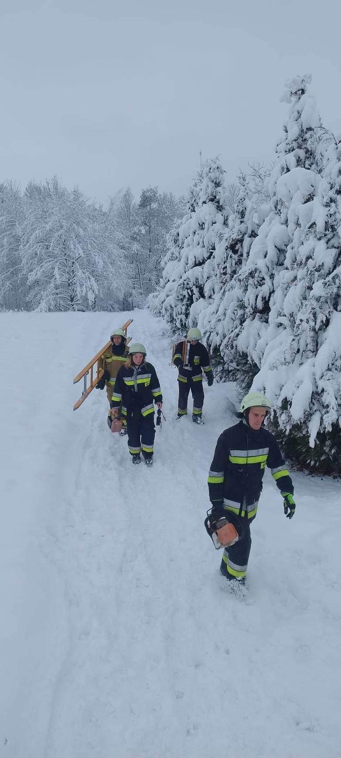 Ponad 300 interwencji strażaków w Tarnowie i regionie
