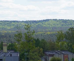 Ogród Botaniczny w Kielcach