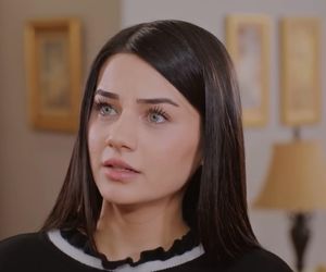 Miłość i nadzieja, odcinek 329: przyjaciele Kuzeya, Kuzey, Bahar, Cavidan