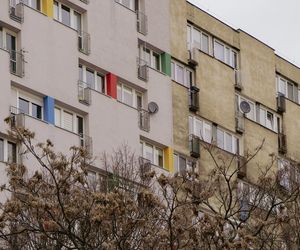 Obok bunkra stanął nie-blok udający, że nie jest do mieszkania