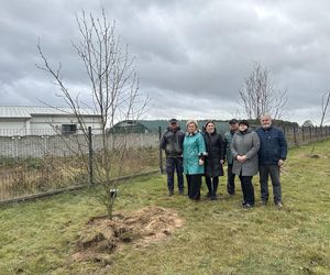 Drzewa miodododajne posadzili w Szczepidle