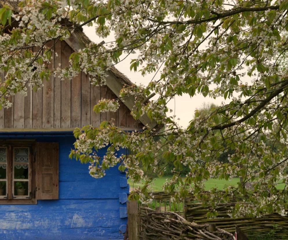 Muzeum Wsi Mazowieckiej - skansen w Sierpcu